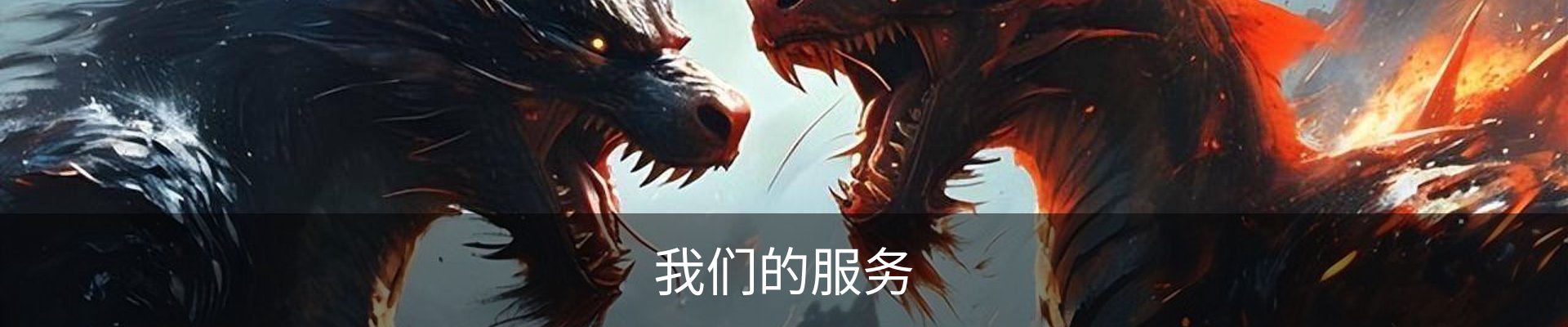 我们的服务