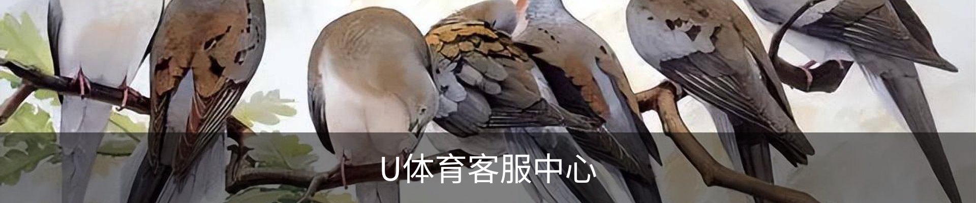 U体育客服中心